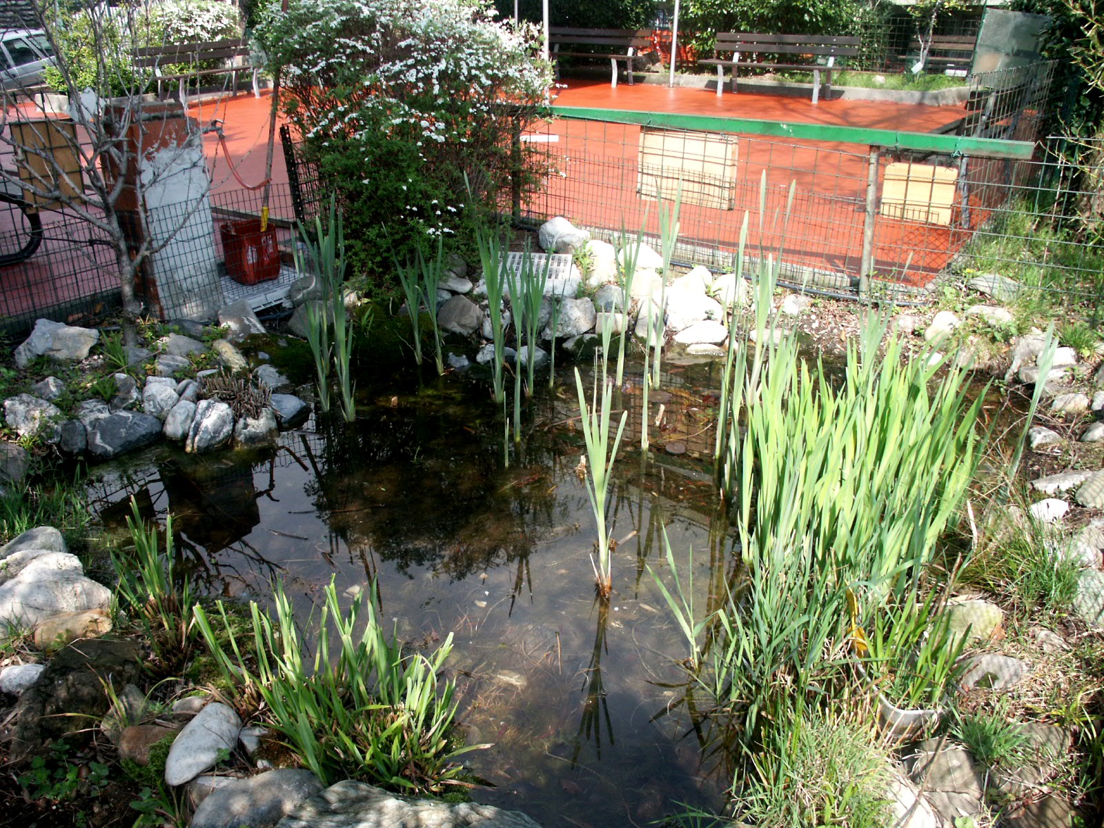 IL GIARDINO DELL'ERBA VOGLIO